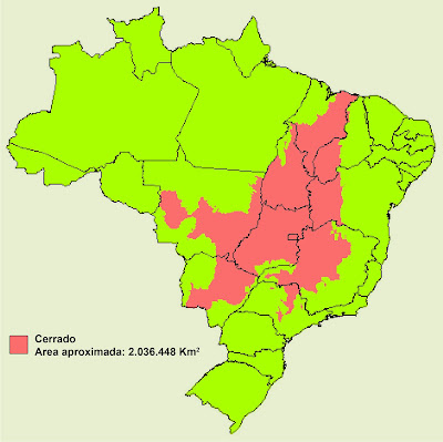 A detailed map of the Cerrado Biome, illustrating its vast savanna landscape across central Brazil, with key ecological regions, protected areas, and major rivers highlighted.