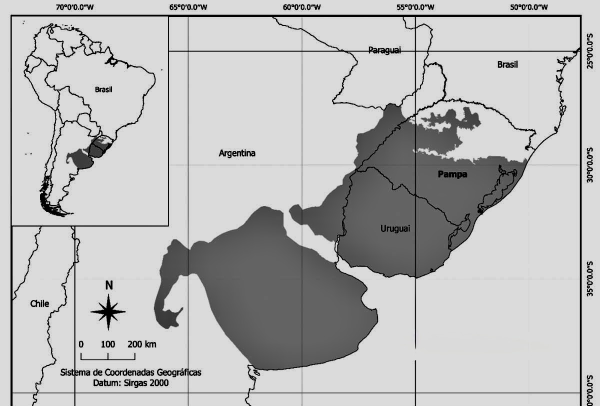 A detailed map showing the extent of the Pampa biome in southern Brazil, highlighting its vast grasslands, rolling plains, and unique ecosystem shared with Argentina and Uruguay.