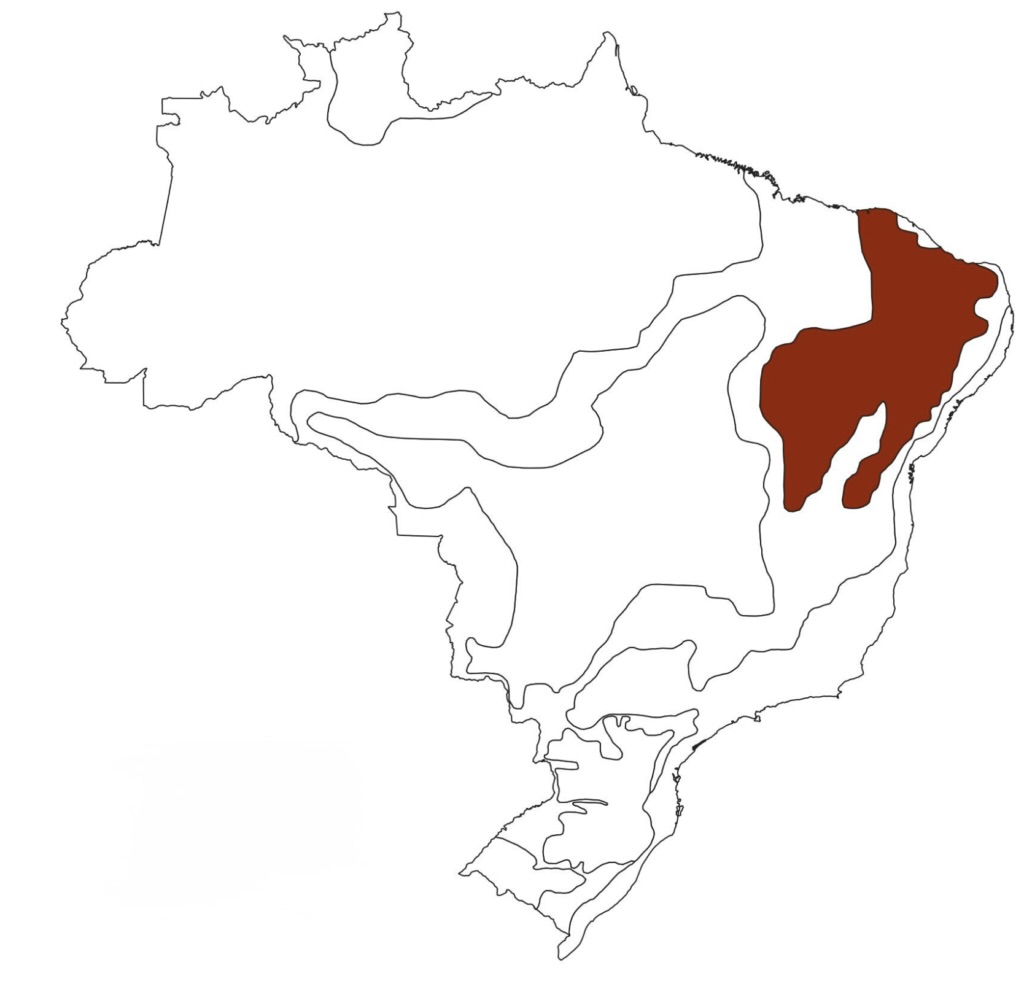 A detailed map highlighting the distribution of the Caatinga biome in Brazil, showcasing its dry landscapes, unique vegetation, and endemic wildlife adapted to arid conditions.