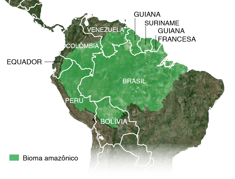 A detailed map of Brazil’s biomes, showcasing the Amazon Rainforest, Cerrado, Atlantic Forest, Pantanal, Caatinga, and Pampas, each represented with distinct colors to highlight the country's rich ecological diversity.