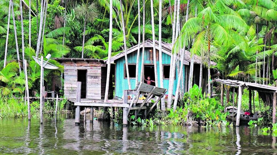 A traditional riverside house on the banks of the Amazon River, built on stilts to adapt to seasonal flooding, surrounded by lush rainforest vegetation.