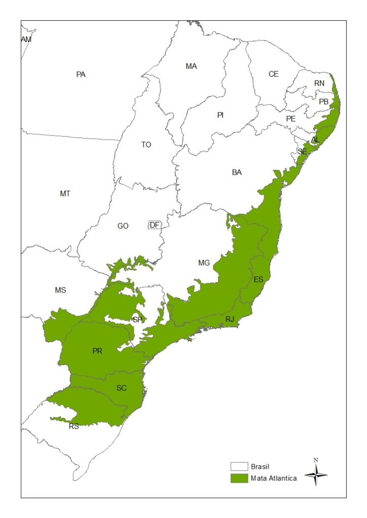 A detailed map highlighting the distribution of the Atlantic Forest in Brazil, showcasing its vast yet fragmented coverage along the eastern coast, home to diverse ecosystems and endemic species.