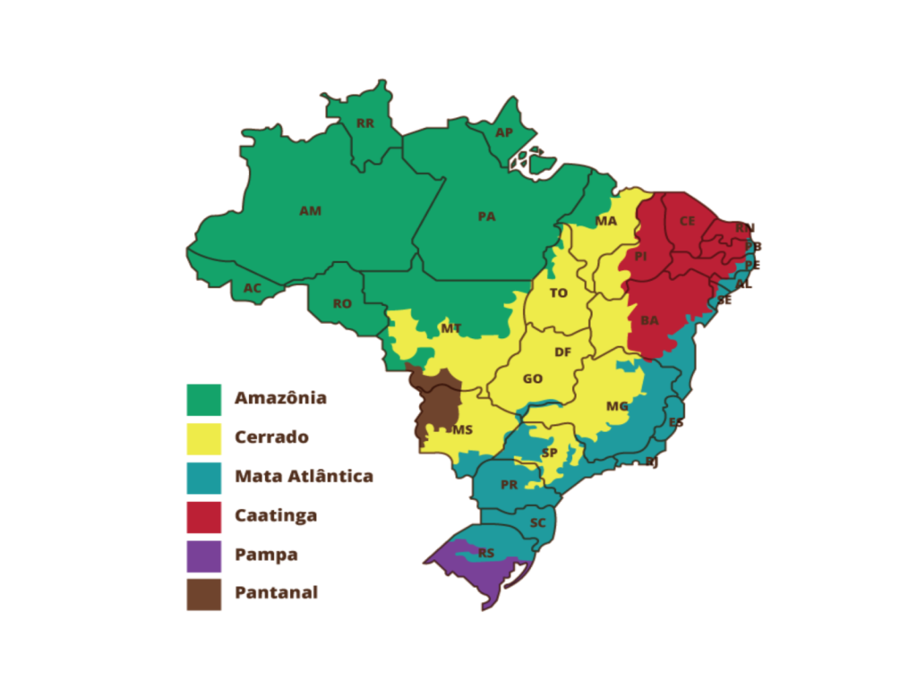 A detailed map of Brazil’s biomes, showcasing the Amazon Rainforest, Cerrado, Atlantic Forest, Pantanal, Caatinga, and Pampas, each represented with distinct colors to highlight the country's rich ecological diversity.