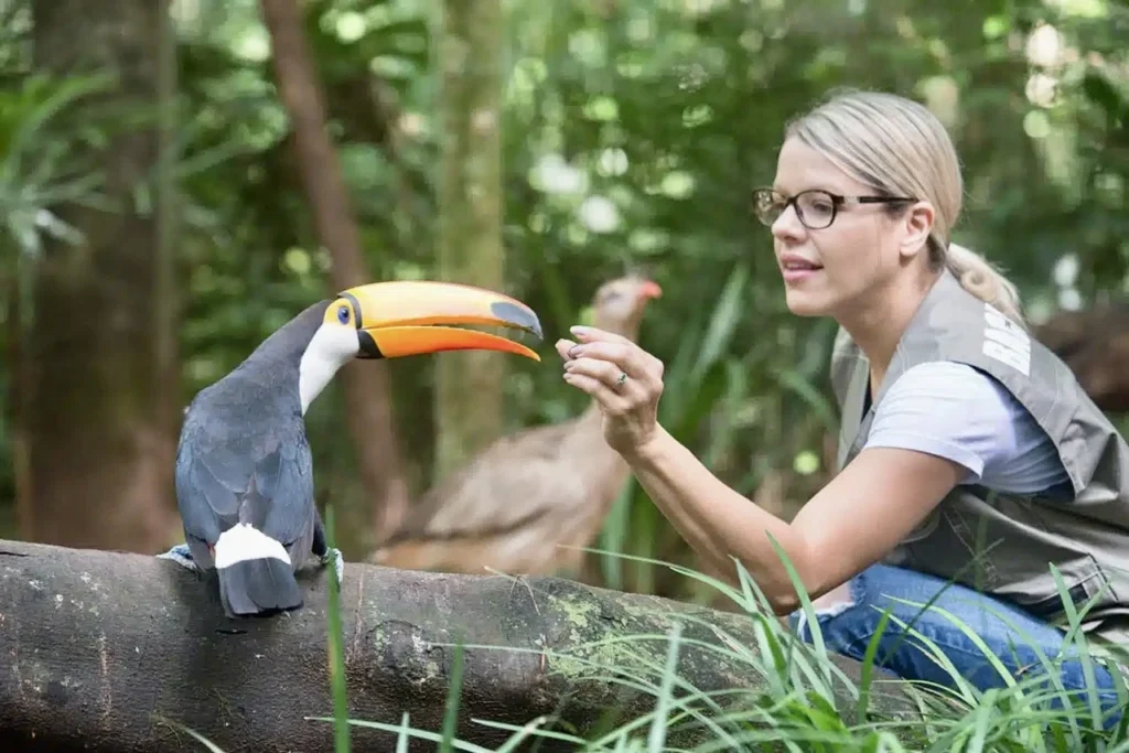 A woman feeding a colorful toucan, offering a close-up view of the vibrant bird, one of the many species found in the Iguazu National Park's rich ecosystem.